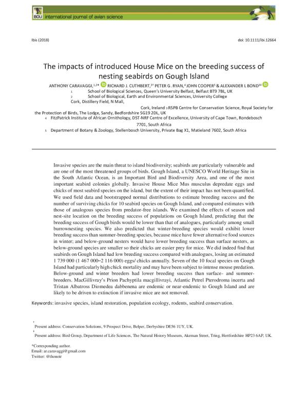 caravaggi-impacts-house-mice-breeding-success-nesting-birds-Gough-island.pdf.jpeg